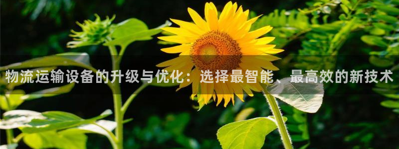 谈球吧app官网下载安卓